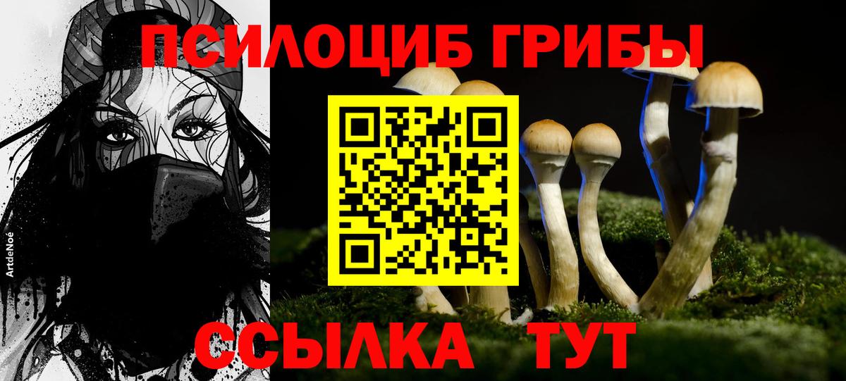 Ессентуки  Галлюциногенные грибы MAGIC MUSHROOMS  Вход с VPN 